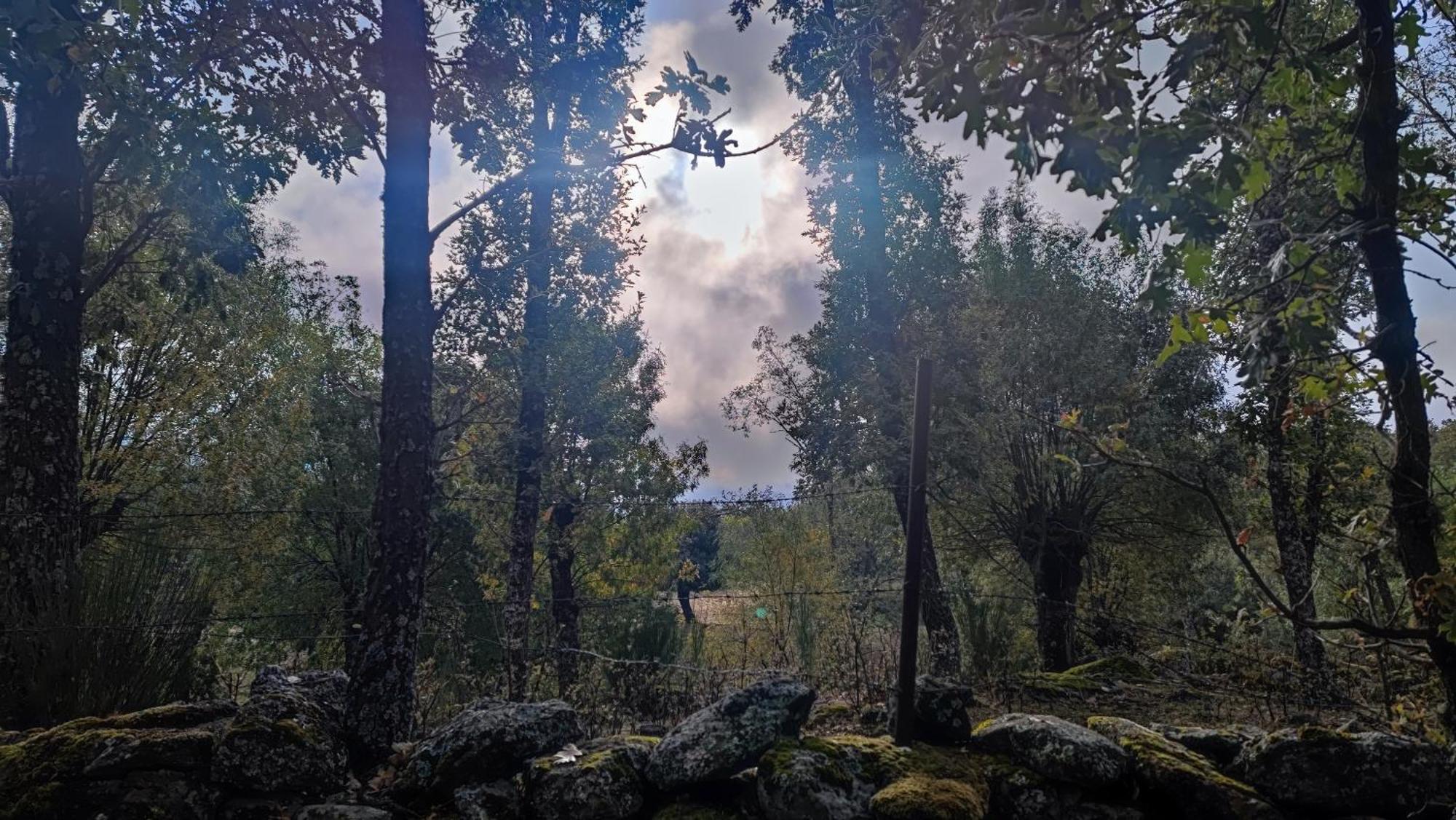 El Rincon De Gredos Pension Navaluenga Buitenkant foto